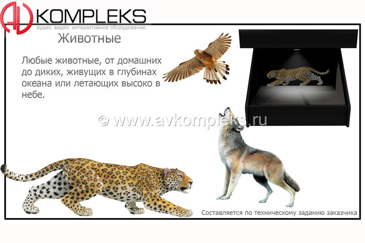 Голографический 3D контент «AVKompleks» — изображение 8